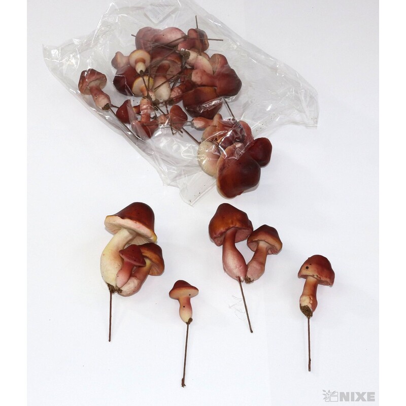 ZÁPICH HŘÍBEK 9x11cm 4x7 24ks*PŘÍRODNÍ