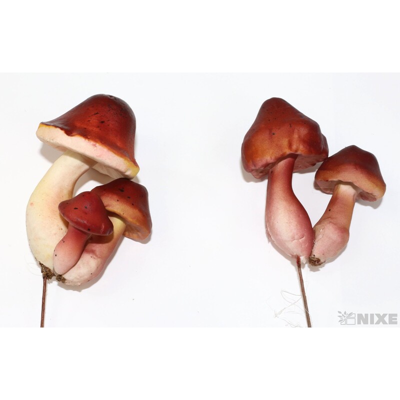 ZÁPICH HŘÍBEK 9x11cm 4x7 24ks*PŘÍRODNÍ