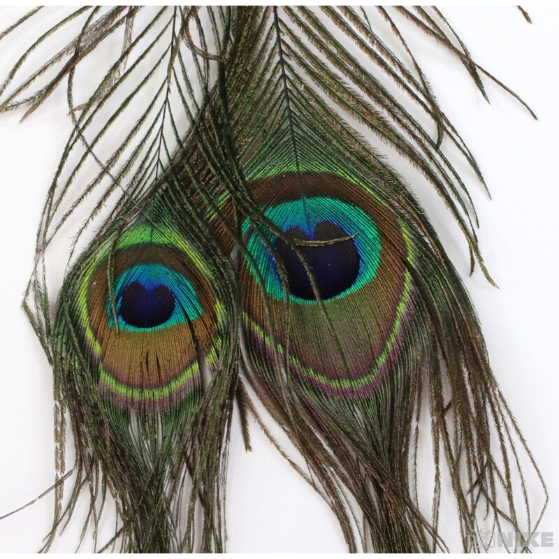 ZÁVĚS PAVÍ PEŘÍ 20cm 2ks*