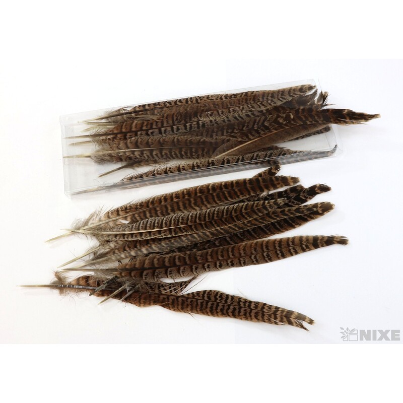 PEŘÍ BAŽANT 22cm 24ks*