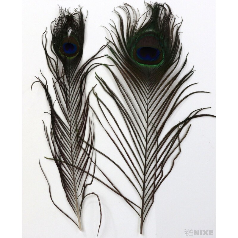 PEŘÍ PÁV 29cm 12ks*