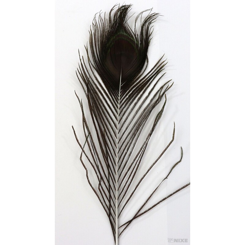 PEŘÍ PÁV 29cm 12ks*