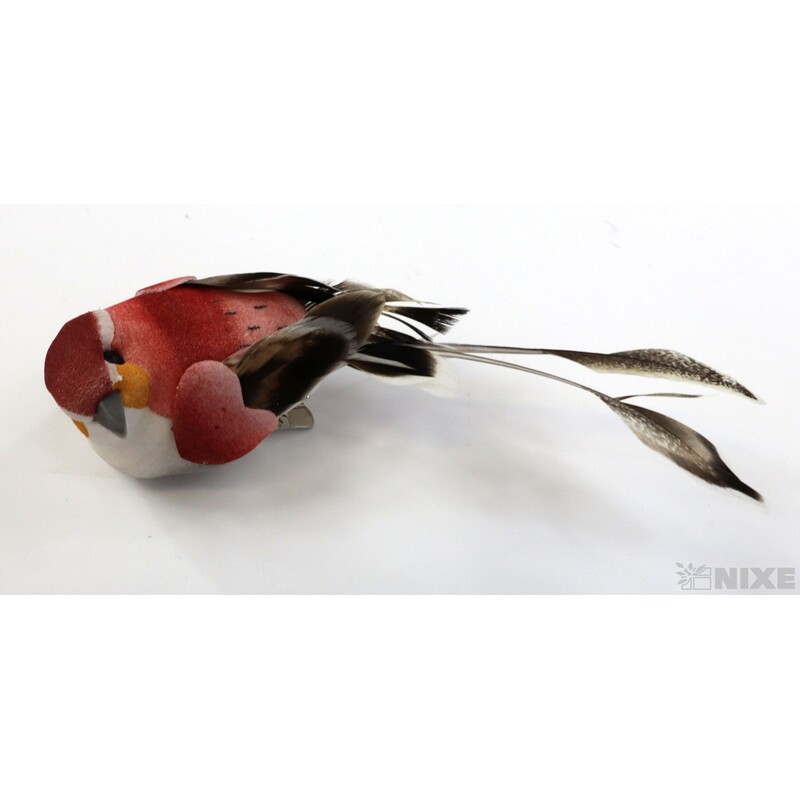 PTÁČEK KLIPS 6cm 12ks*MIX BAREV