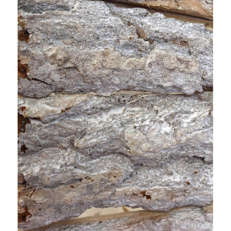 OBAL SRDCE KŮRA 24x8cm 16x7*BÍLÁ