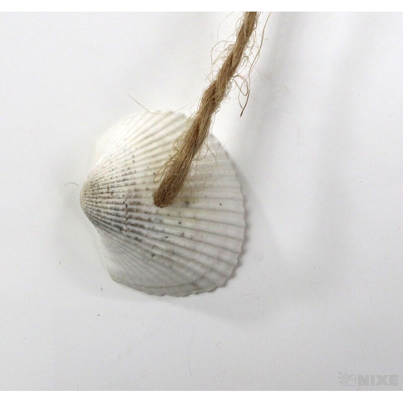 ZÁVĚS HVĚZDA 10ks 6,5cm*BÍLÁ