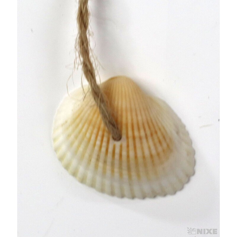 ZÁVĚS HVĚZDA 10ks 6,5cm*BÍLÁ