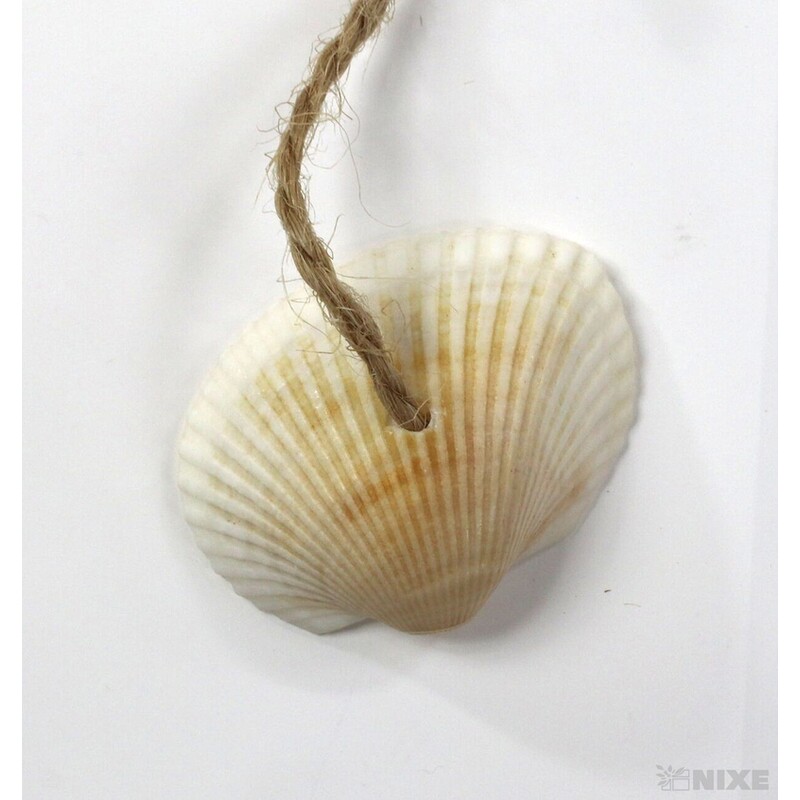 ZÁVĚS HVĚZDA 10ks 6,5cm*BÍLÁ