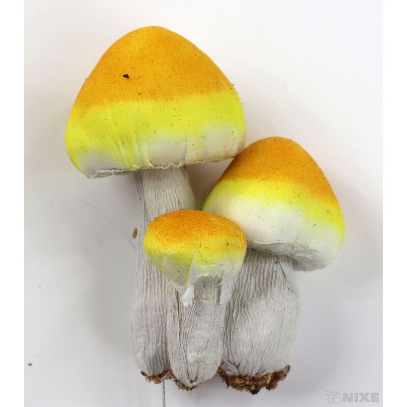 ZÁPICH HŘÍBEK 24ks 4x17cm*MIX BAREV