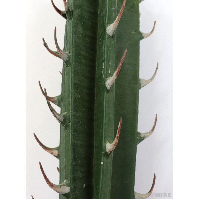 ZÁPICH KAKTUS 24x35cm*