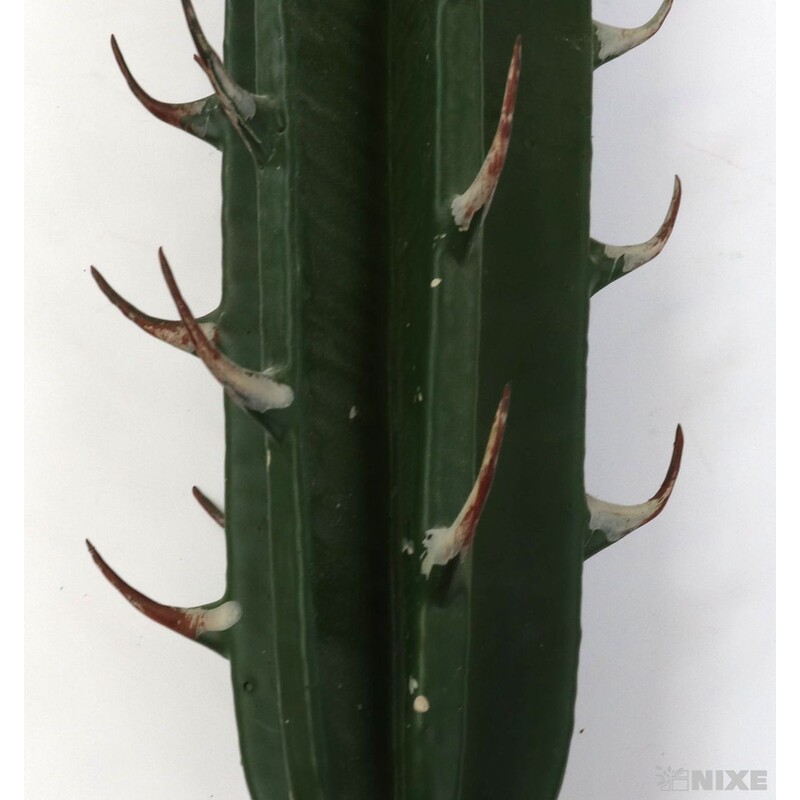 ZÁPICH KAKTUS 24x35cm*