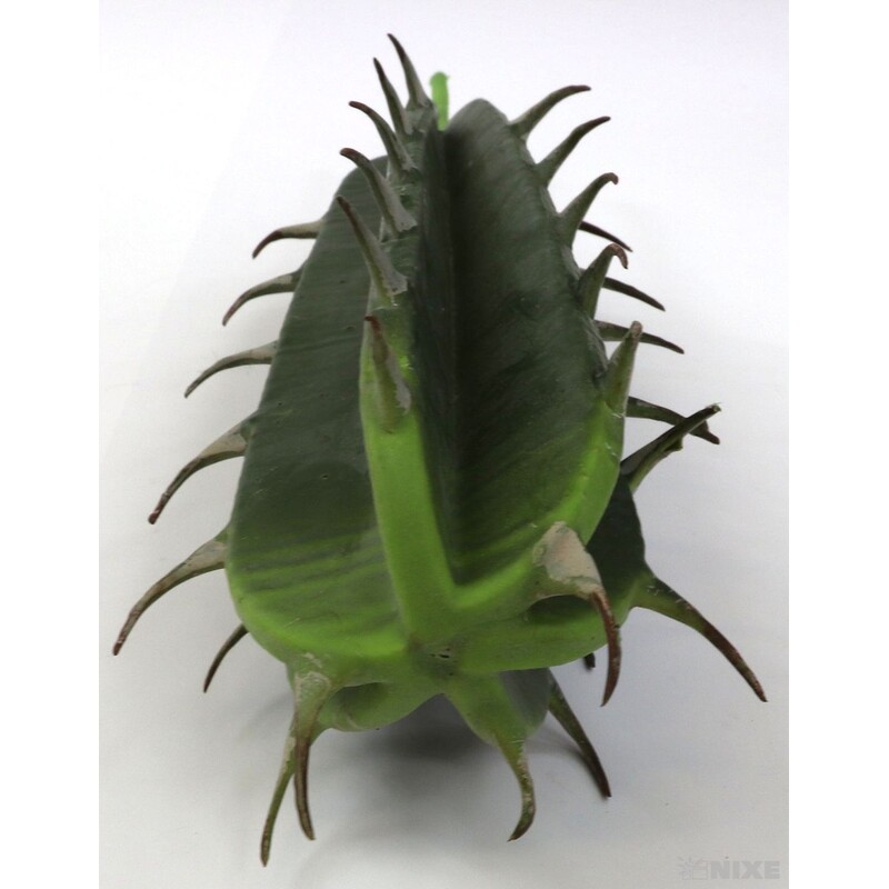 ZÁPICH KAKTUS 24x35cm*