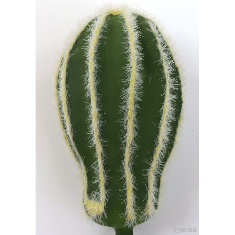 ZÁPICH KAKTUS 10x20cm*