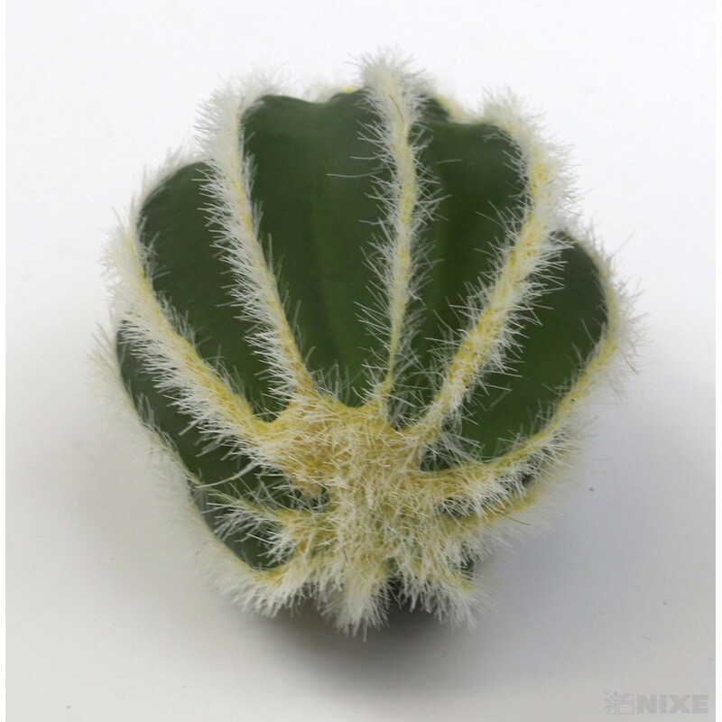 ZÁPICH KAKTUS 10x20cm*