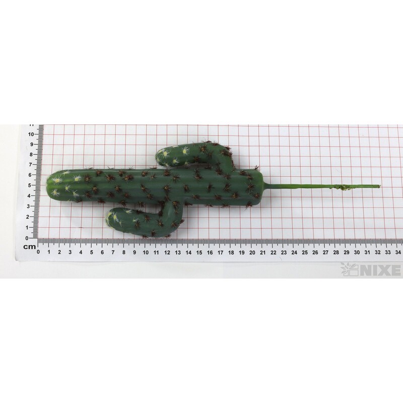 ZÁPICH KAKTUS 20x31cm*