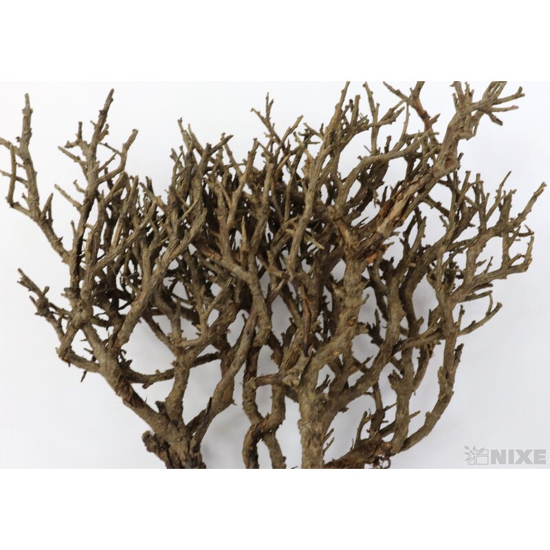 KEŘE 500g*PŘÍRODNÍ