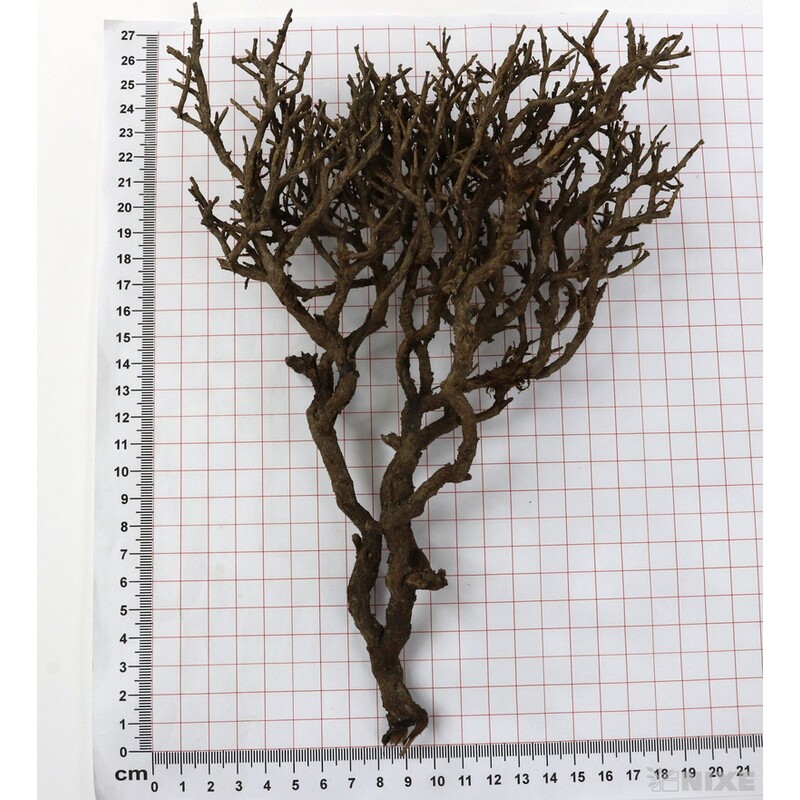 KEŘE 500g*PŘÍRODNÍ