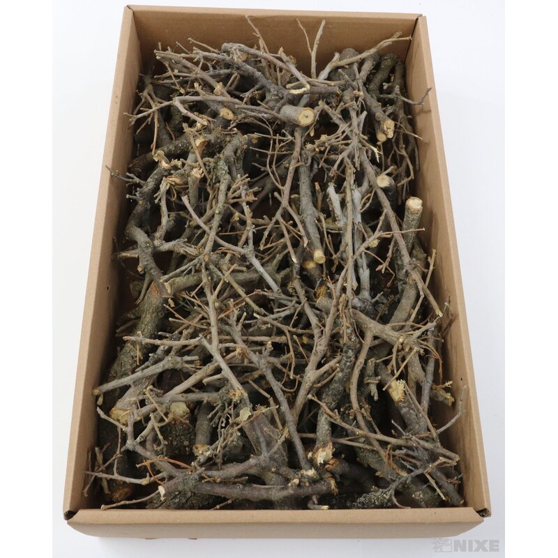 VĚTVE 2kg*PŘÍRODNÍ