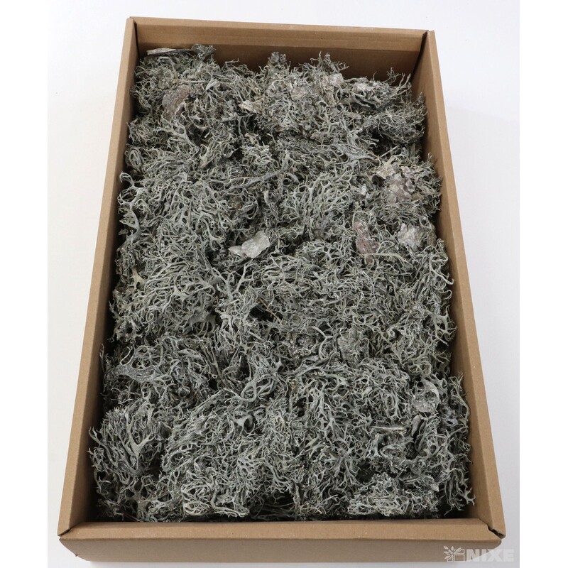 MECH SUŠENÝ 500g*BÍLÁ