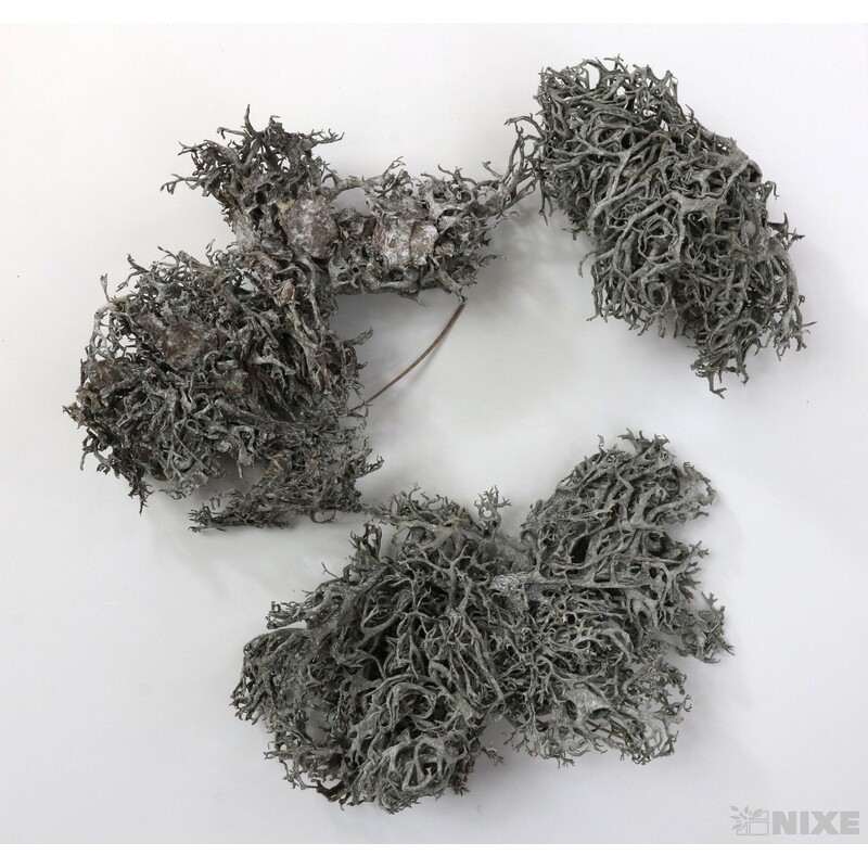 MECH SUŠENÝ 500g*BÍLÁ