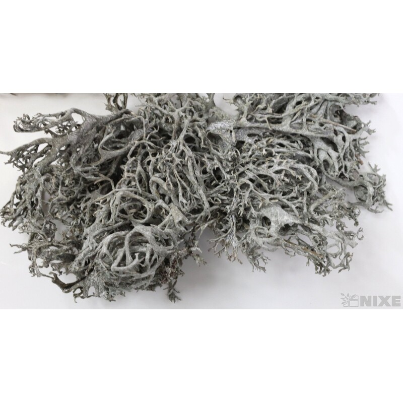 MECH SUŠENÝ 500g*BÍLÁ