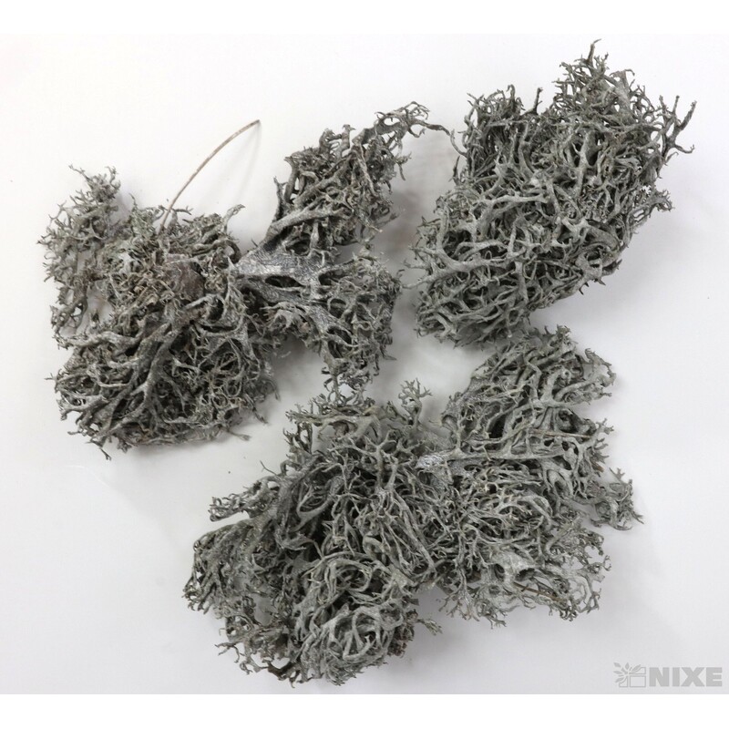 MECH SUŠENÝ 500g*BÍLÁ