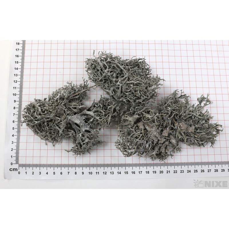 MECH SUŠENÝ 500g*BÍLÁ