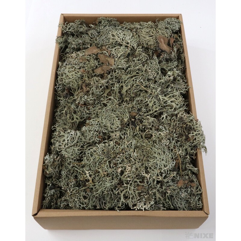 MECH SUŠENÝ 500g*PŘÍRODNÍ