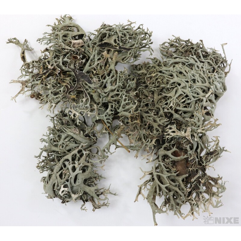 MECH SUŠENÝ 500g*PŘÍRODNÍ