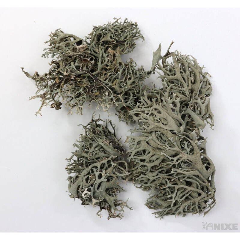 MECH SUŠENÝ 500g*PŘÍRODNÍ