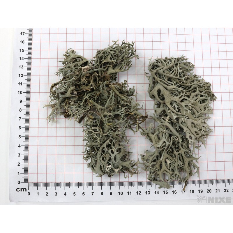 MECH SUŠENÝ 500g*PŘÍRODNÍ