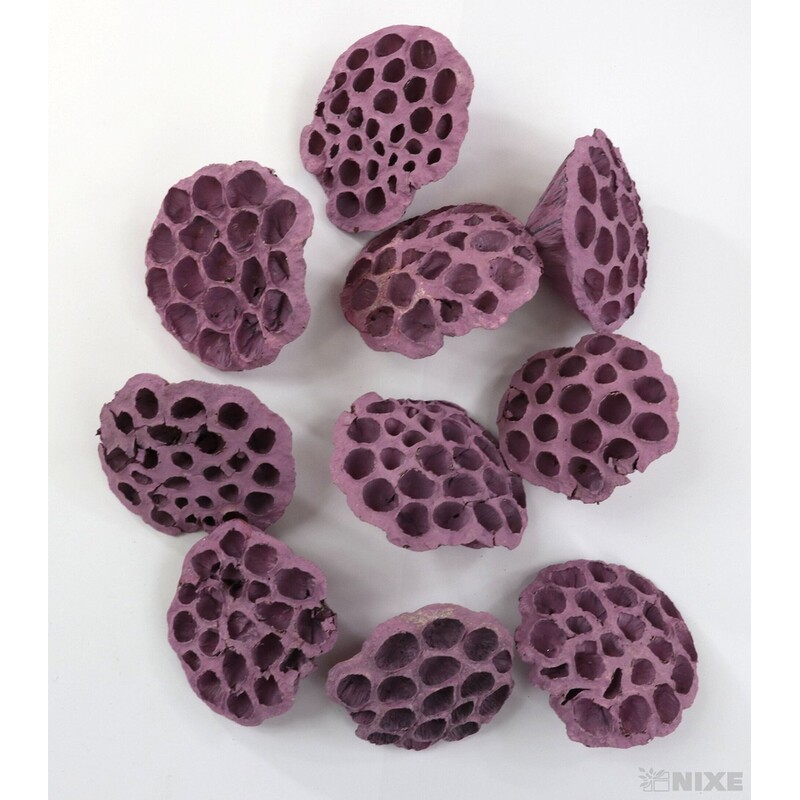 LOTOS 10-12cm 10ks*RŮŽOVÁ