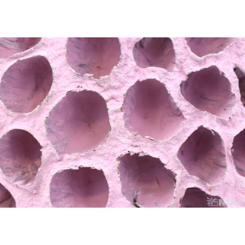 LOTOS 10-12cm 10ks*RŮŽOVÁ