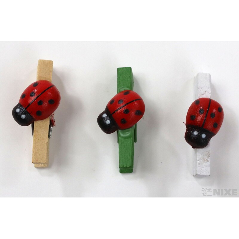 KOLÍČEK BERUŠKA 2,5cm 36ks*MIX BAREV