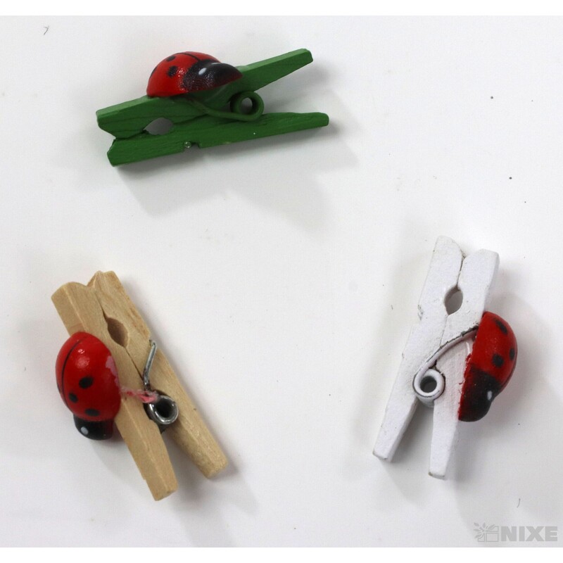 KOLÍČEK BERUŠKA 2,5cm 36ks*MIX BAREV