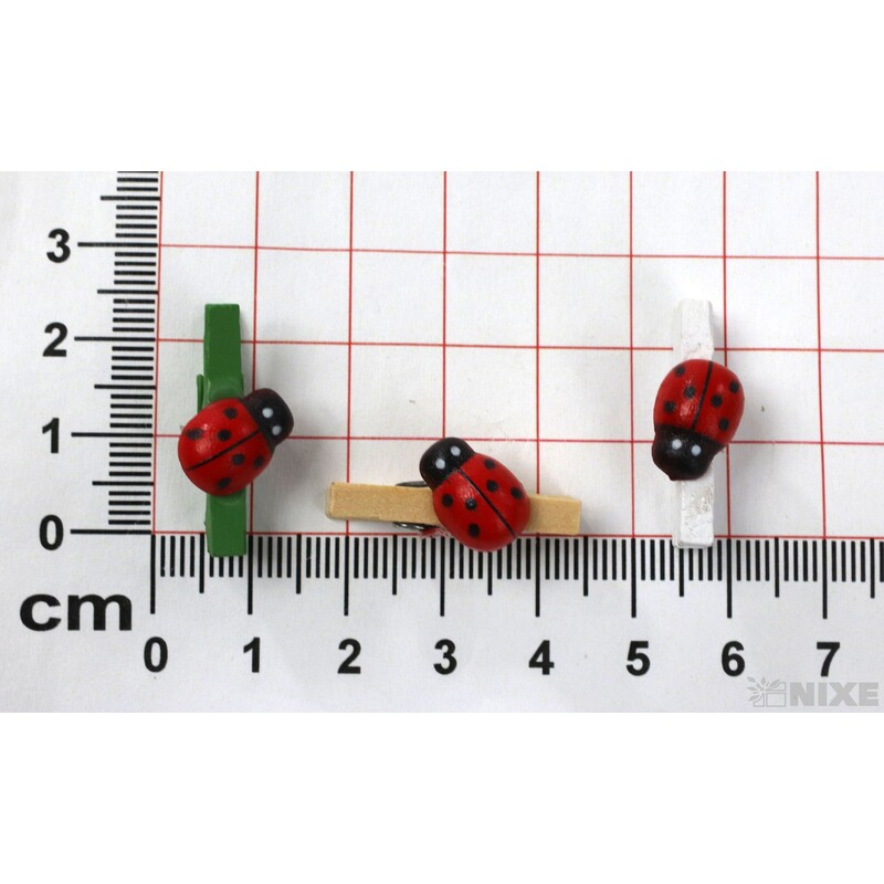 KOLÍČEK BERUŠKA 2,5cm 36ks*MIX BAREV