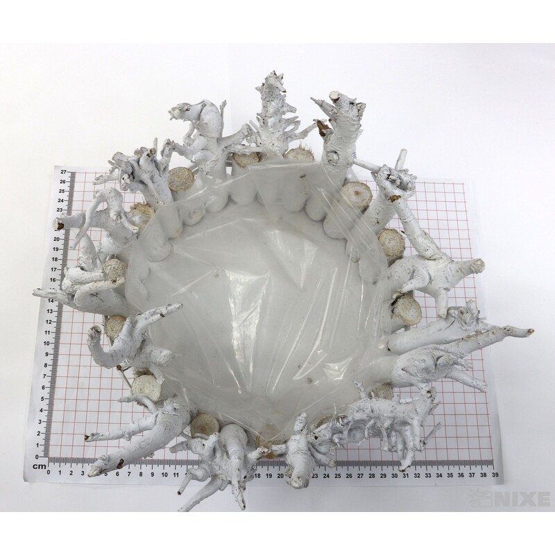 OBAL KŮRA 26x10*BÍLÁ