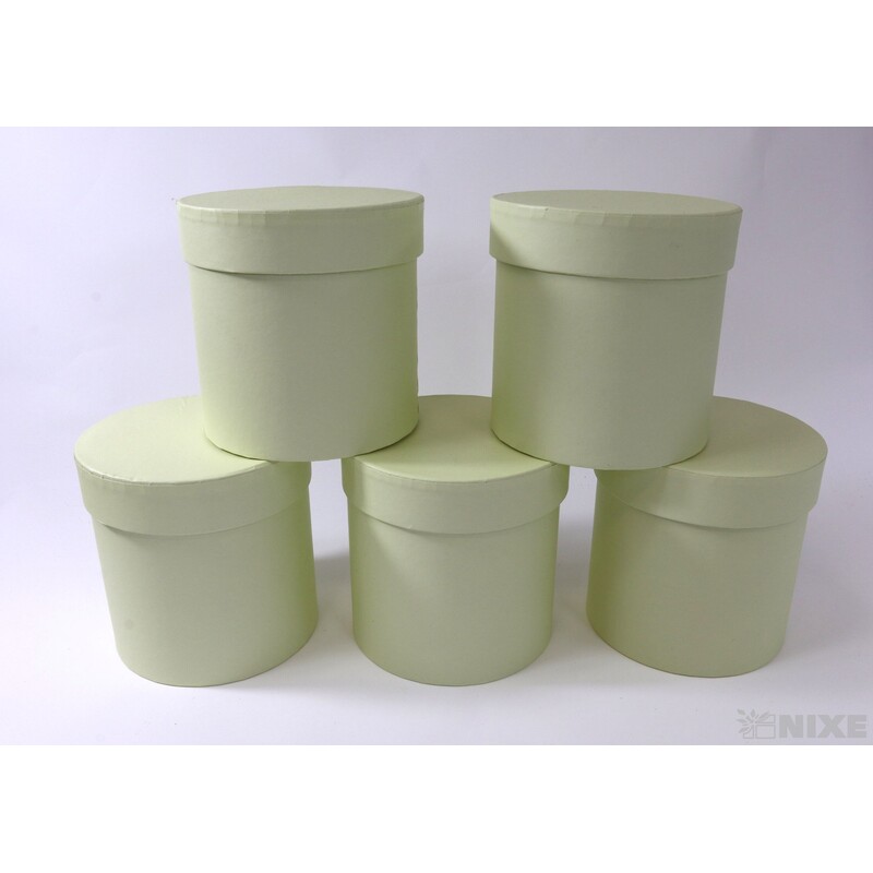 KVĚTINOVÝ BOX 5ks pr. 12x12cm*KRÉMOVÁ