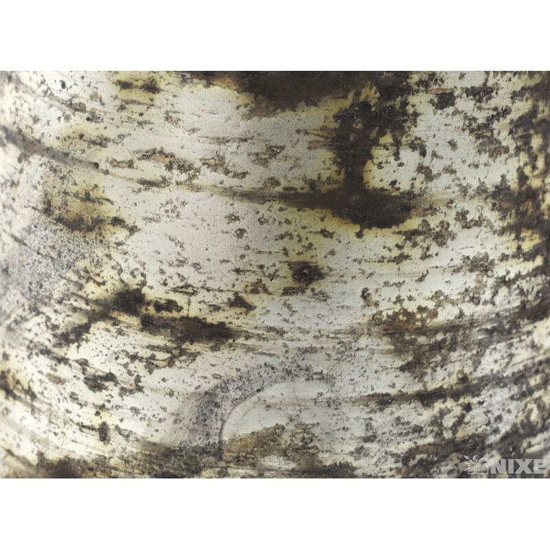 OBAL SKLO PATINA 8cm*STŘÍBRNÁ