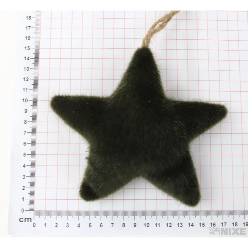 ZÁVĚS HVĚZDA 14cm*ZELENÁ