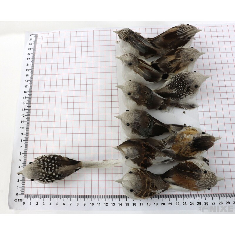 PTÁČEK KLIPS 12cm 12ks*PŘÍRODNÍ