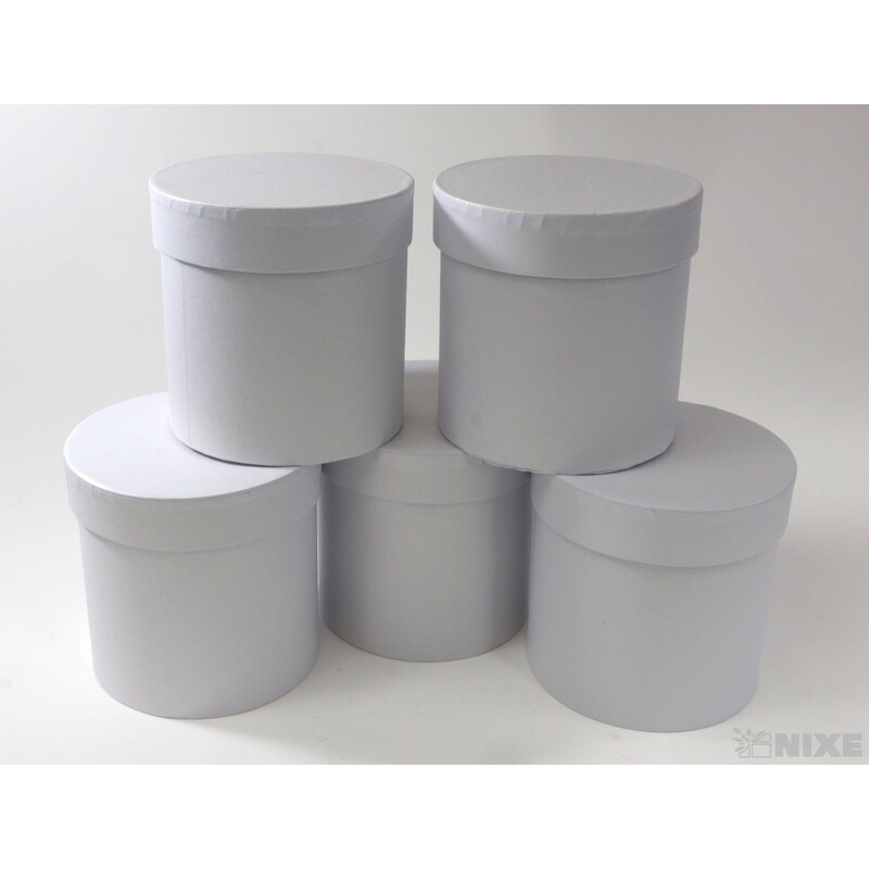 KVĚTINOVÝ BOX 5ks pr. 12x12cm*BÍLÁ