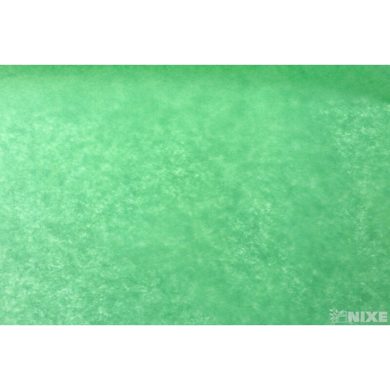 ARCH PAPÍR HEDVÁBNÝ 65x50cm 10ks*ZELENÁ