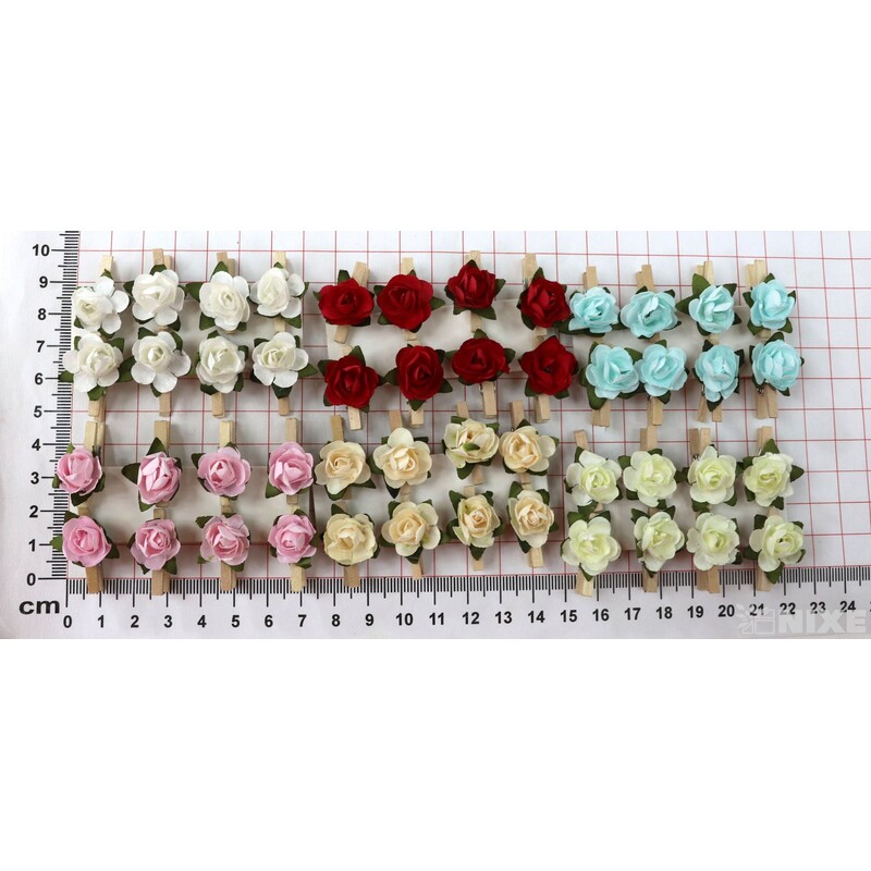 KOLÍČEK RŮŽE 1,5x2,5cm 16ks*