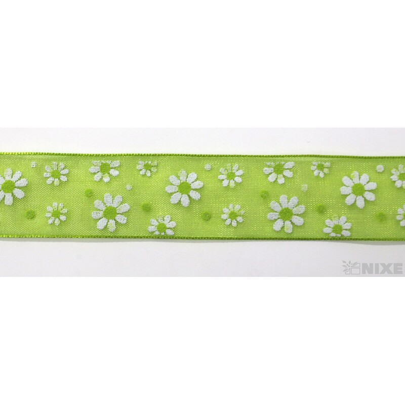 ANINA 5303 20mmx20m*ZELENÁ 500