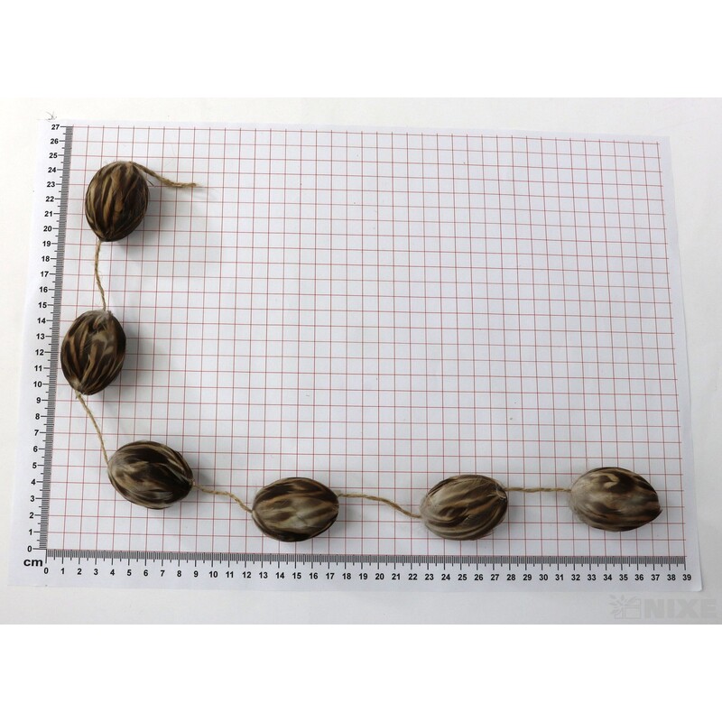 VAJÍČKA 6ks 5,5cm*