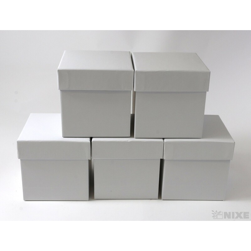 KRABICE 5ks 11x10x10cm*BÍLÁ