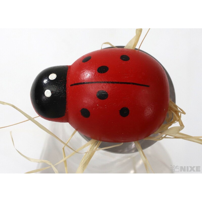 ZÁPICH BERUŠKA 5x20cm 12ks*ČERVENÁ