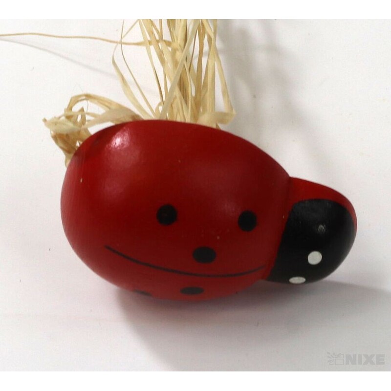 ZÁPICH BERUŠKA 5x20cm 12ks*ČERVENÁ