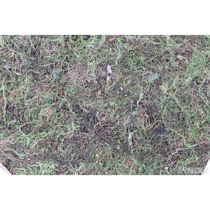 ZÁVĚS SRDCE 25x21x1,5cm*BÍLÁ