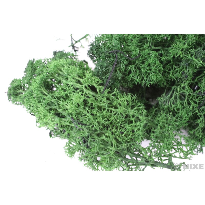 MECH 500g*ZELENÁ TM.